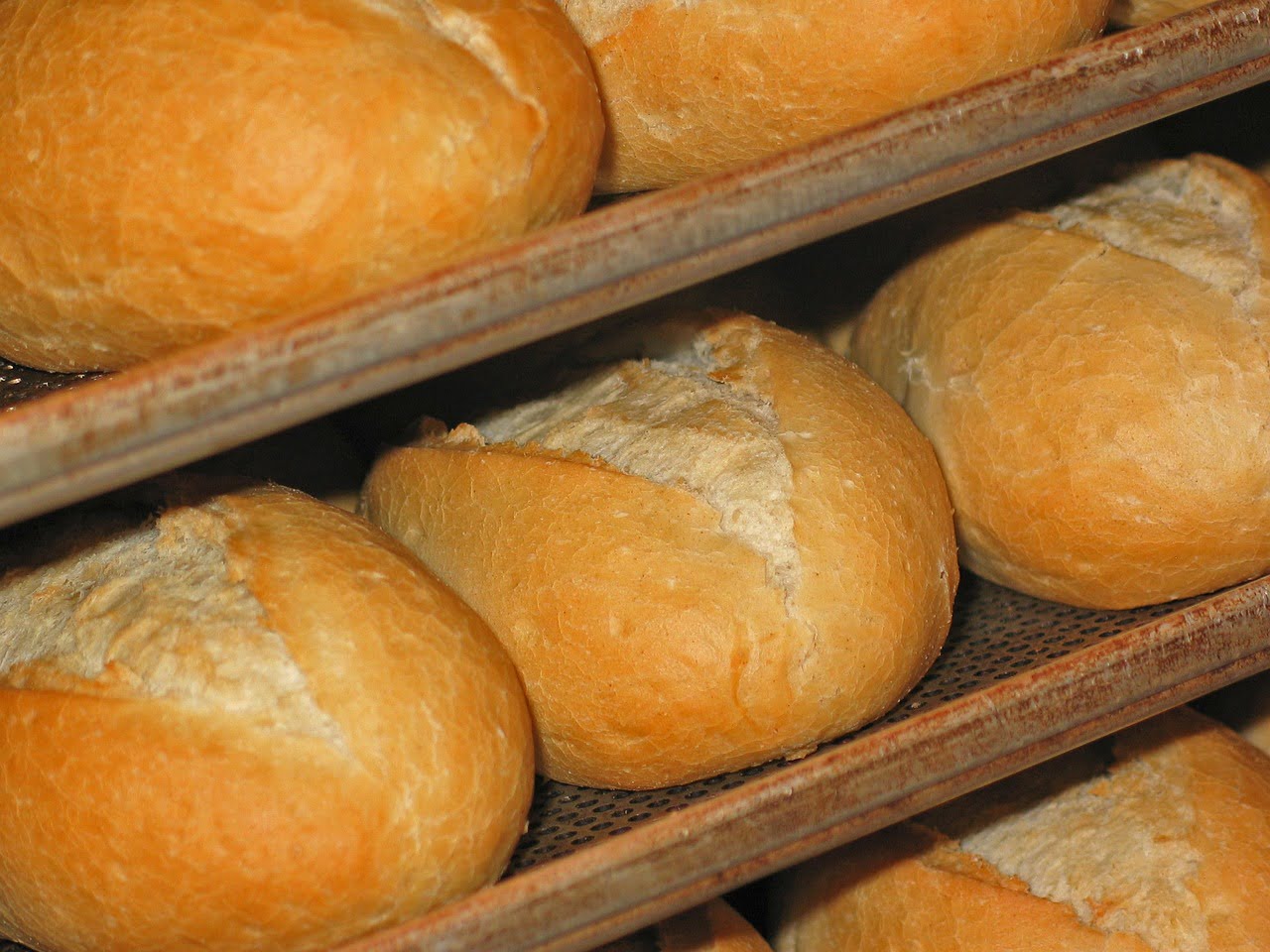 bun, fresh rolls, baker