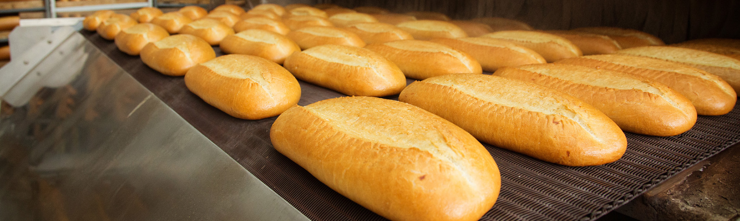 Food Spray Banner Img14